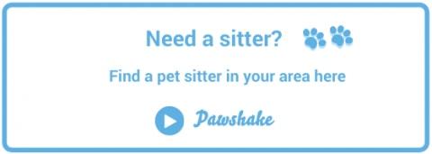 https://www.pawshake.com.au/