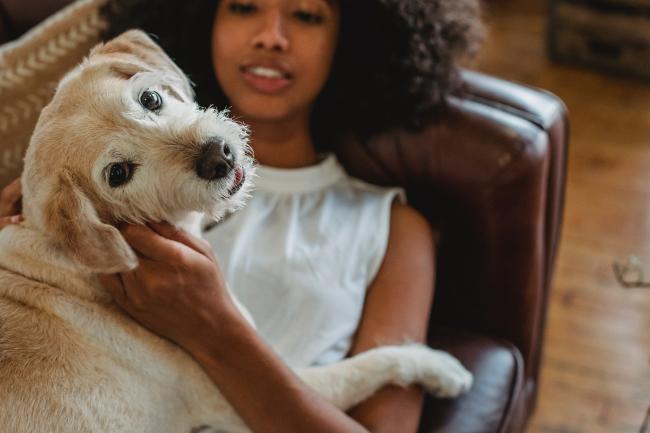 Dog with lady